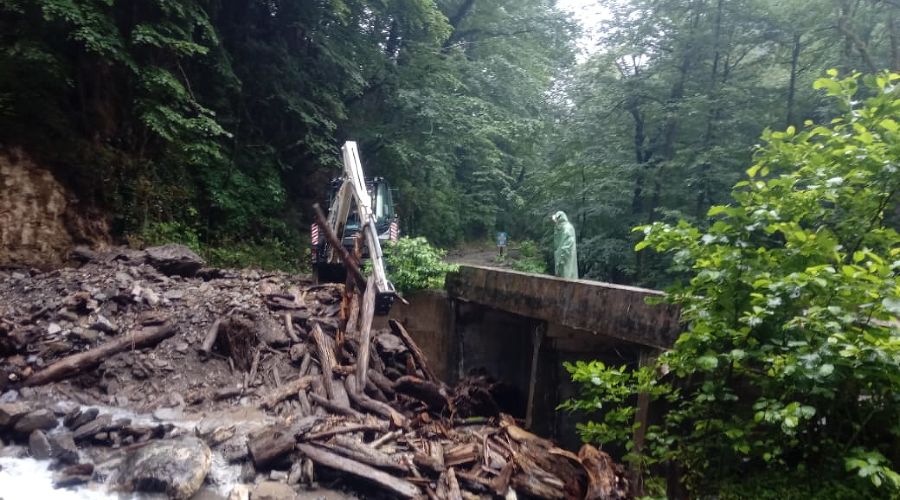  © Фото пресс-службы Кавказского биосферного заповедника