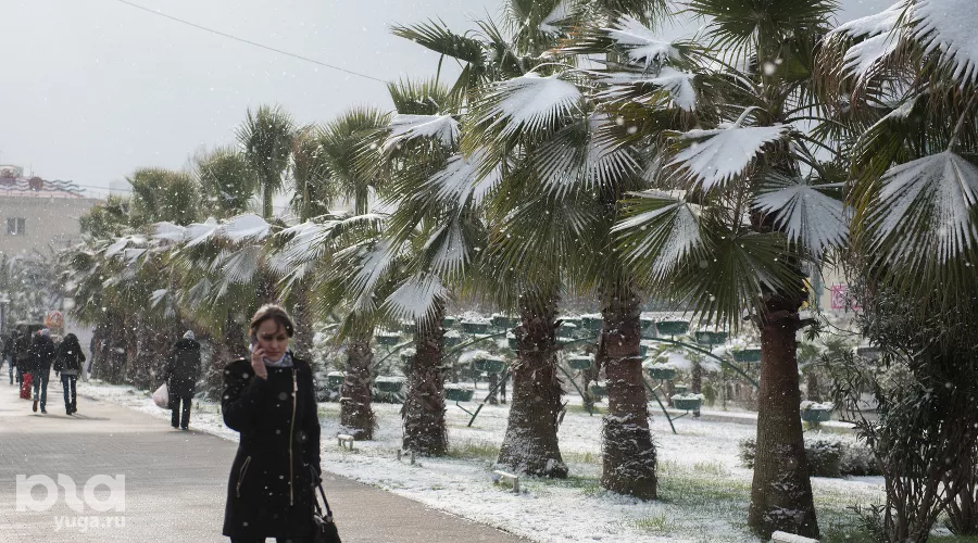  &copy;&nbsp;Фото Нины Зотиной, Юга.ру