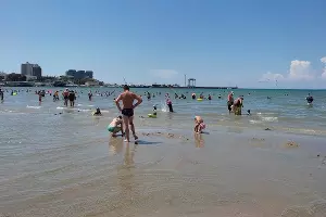  &copy;&nbsp;Фото Иолины Грибковой, Юга.ру