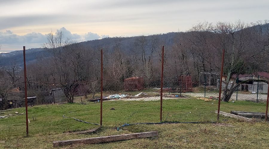 Заброшенный сафари-парк в горах Сочи © скриншот со страницы Александры Баевой в VK https://vk.com/id25476341?z=photo25476341_457239843%2Falbum25476341_00%2Frev