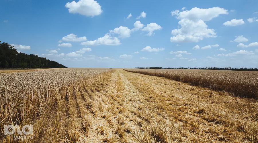  &copy;&nbsp;Фото Амины Ибрагимовой, Юга.ру