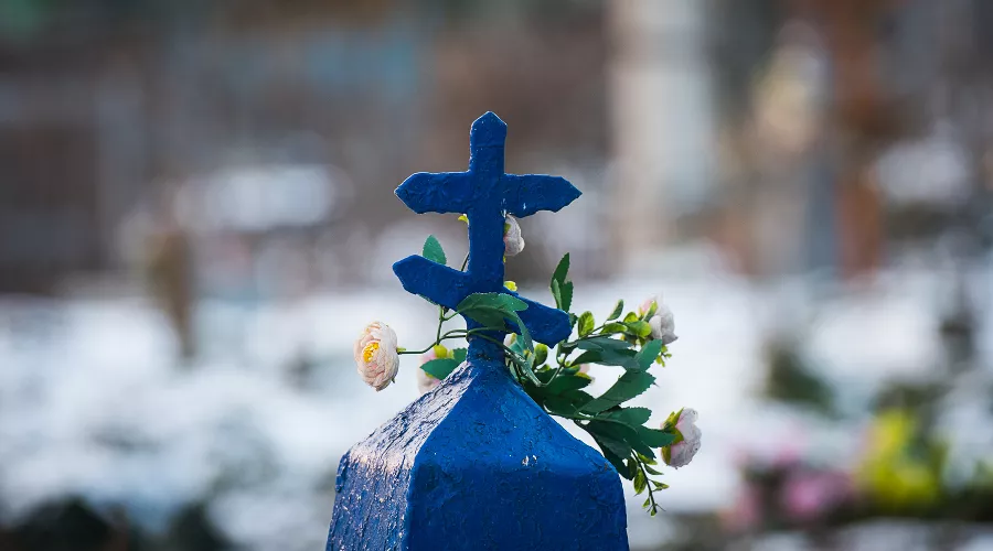  &copy;&nbsp;Фото Елены Синеок, Юга.ру