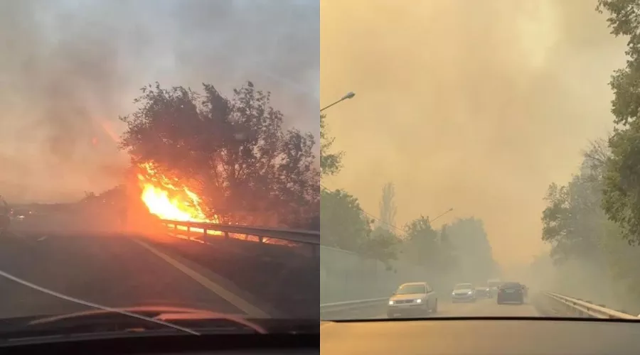  &copy;&nbsp;Скриншоты из телеграм-канала &laquo;Это Ростов, детка&raquo;  https://t.me/etorostov_tg/10169 https://t.me/etorostov_tg/10180