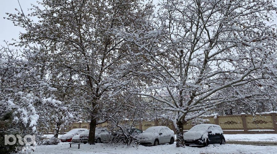  &copy;&nbsp;Фото Валерии Дульской, Юга.ру