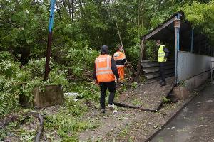  © Фото пресс-службы администрации Краснодара