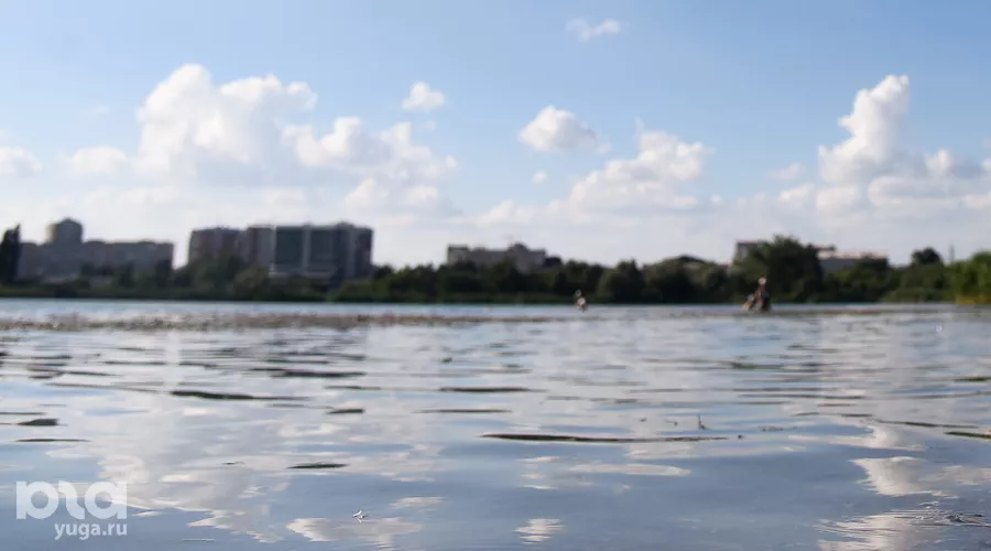  &copy;&nbsp;Фото Елены Синеок, Юга.ру