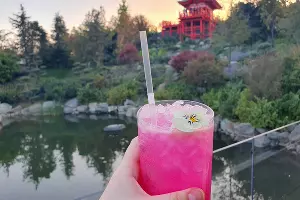 Вид с террасы ресторана &laquo;Рётэй&raquo; осенью &copy;&nbsp;Фото Марины Солошко, Юга.ру