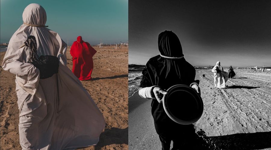  © Коллаж из скриншотов фото из телеграм-канала «Алиса снимает и рассказывает»