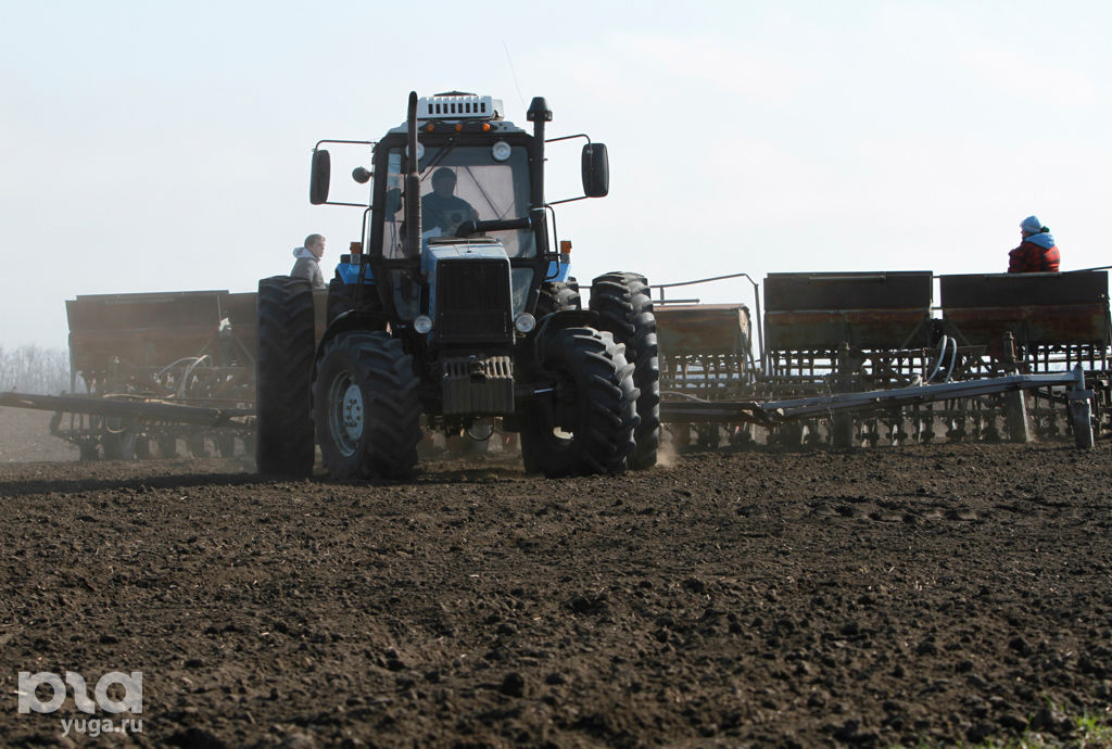 Спк колхоз терновский труновского. Спк труновское. Труновское ставропольский край терновский колхоз. Спк колхоз им чапаева. Спк труновское.