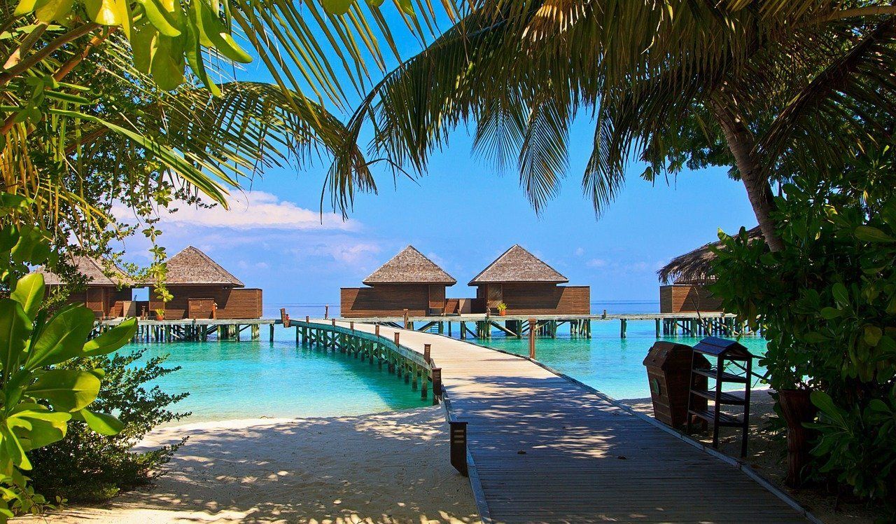 Мальдивы © Фото SuzyT с сайта pixabay.com