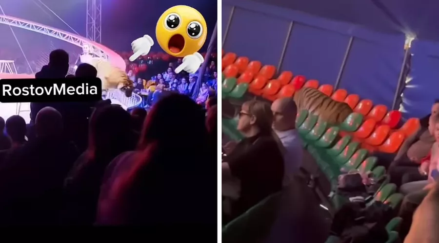  &copy;&nbsp;Скриншоты ролика rostovmedia в Instagram*