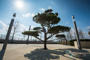 Парк «Краснодар»  &copy;&nbsp;Фото Елены Синеок, Юга.ру