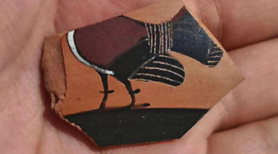 Фрагмент чернофигурного сосуда - килика - работы мастерской Тлесона из Афин © Фото предоставлено пресс-службой Фонда «Вольное Дело»