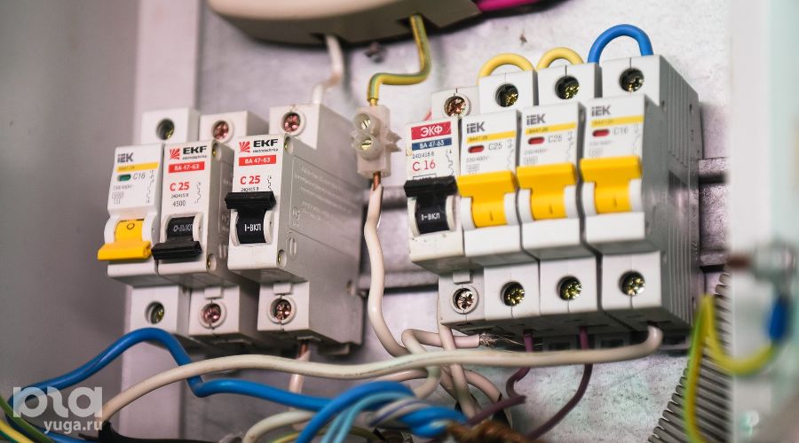  © Фото Елены Синеок, Юга.ру