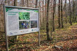  &copy;&nbsp;Фото пресс-службы главы Республики Адыгея