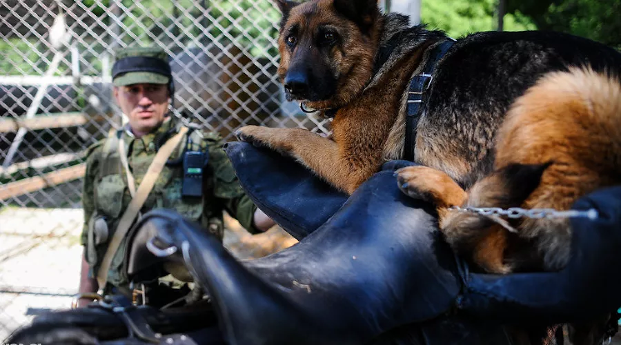  &copy;&nbsp;Нина Зотина, ЮГА.ру