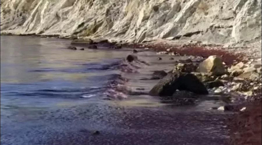  &copy;&nbsp;Скриншот видео из YouTube-канала &laquo;Жизнь на море&raquo;, youtube.com/channel/UCNUkg96CaV7S6gCysHHaBsw