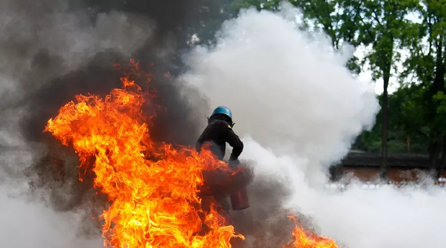  &copy;&nbsp;Фото Елены Синеок, Юга.ру