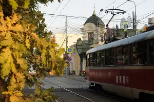  &copy;&nbsp;Фото Марины Солошко, Юга.ру