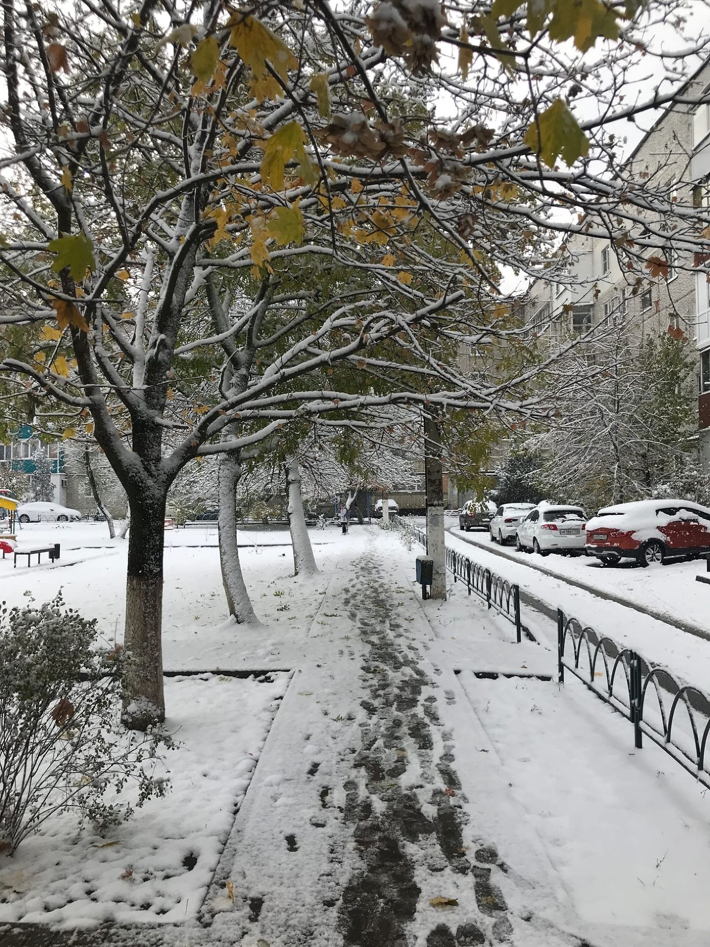 Снег в Краснодаре