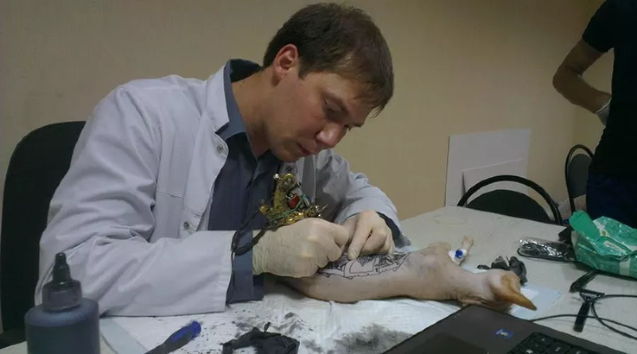 Алексей Шиян делает татуировку сфинксу &copy;&nbsp;Удаленное фото с сайта ветклиника-здоровье.рф