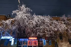  &copy;&nbsp;Фото Михаила Ступина, Юга.ру