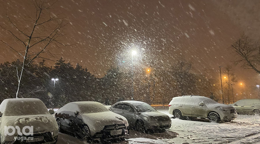  © Фото Валерии Дульской, Юга.ру