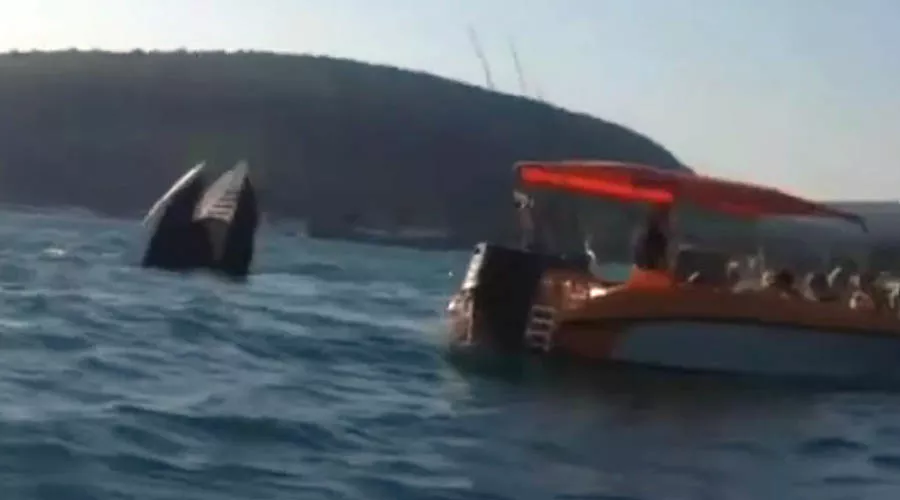  &copy;&nbsp;Кадр из видео группы ВКонтакте &laquo;RU_CHP: Первый по происшествиям&raquo;, vk.com/ru_chp