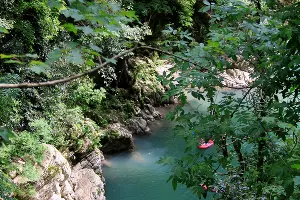 Река Хоста в Тисо-Самшитовой роще Сочи &copy;&nbsp;Фото Марины Солошко, Юга.ру