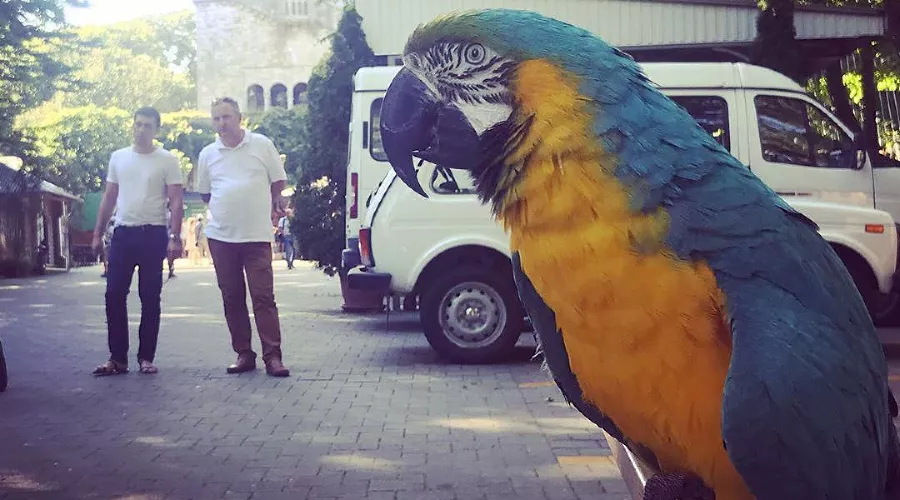  &copy;&nbsp;Фото со страницы instagram.com/ecology.sochi