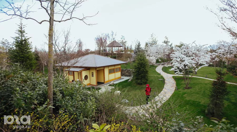 Японский сад &copy;&nbsp;Фото Антона Быкова, Юга.ру