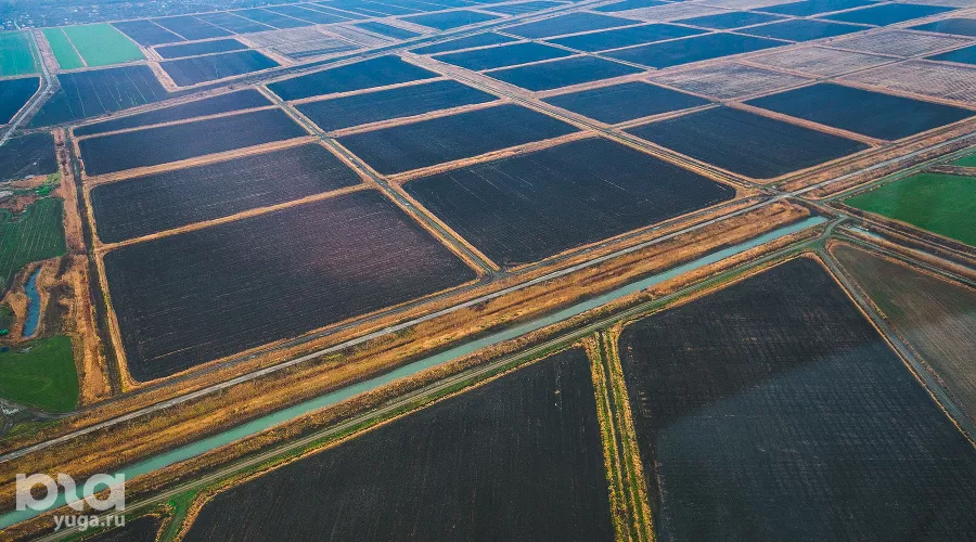  &copy;&nbsp;Фото Дениса Яковлева, ЮГА.ру