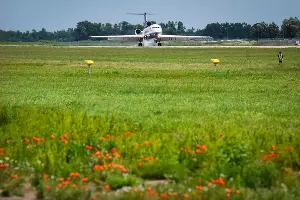  &copy;&nbsp;Фото Елены Синеок, Юга.ру