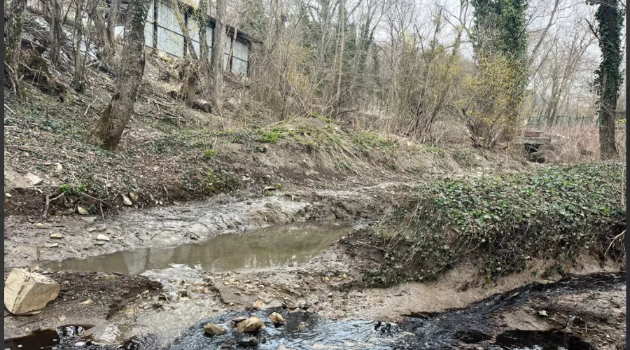  &copy;&nbsp;Скриншот из телеграм-канала эколога Георгия Каваносяна https://t.me/ecozhora/5140
