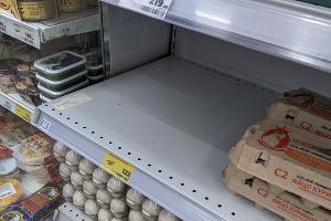  © Фото Александры Прохоренковой-Аксеновой, Юга.ру