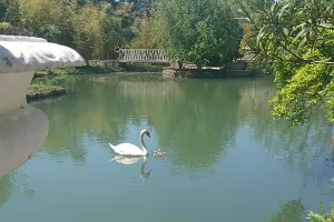  &copy;&nbsp;Фото пресс-службы Кавказского заповедника