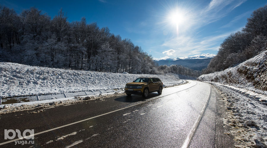  © Фото Елены Синеок, Юга.ру