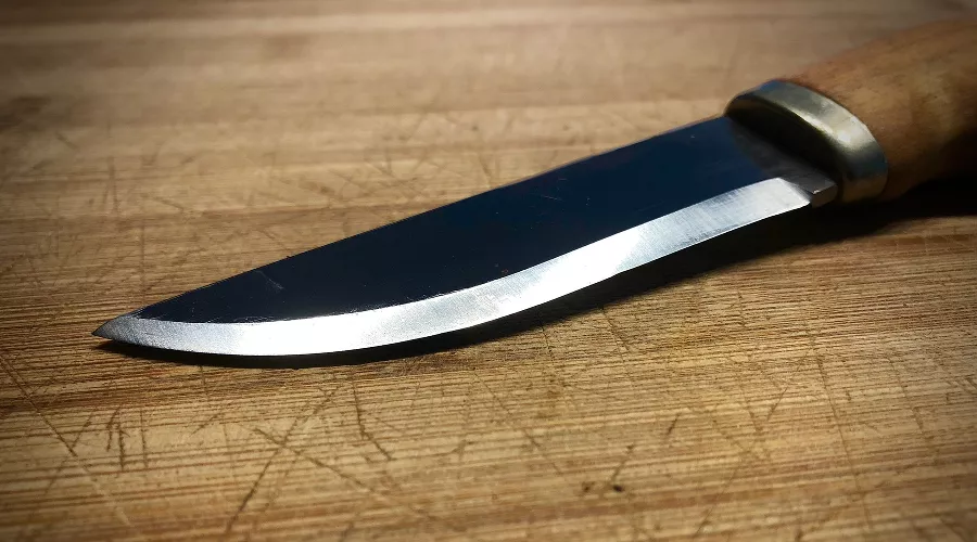  &copy;&nbsp;Фото с сайта pixabay.com