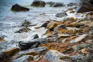  &copy;&nbsp;Фото Елены Синеок, Юга.ру