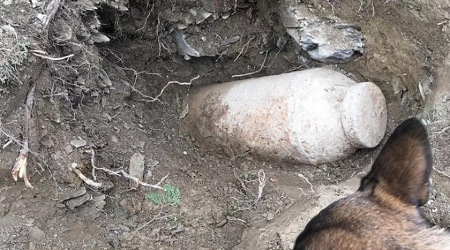  &copy;&nbsp;Фото из инстаграма Натальи Майоровой, instagram.com/nataliy_mayorova