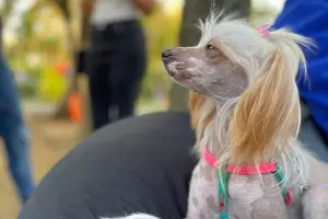  &copy;&nbsp;Фото предоставила Виктория — хозяйка Аси