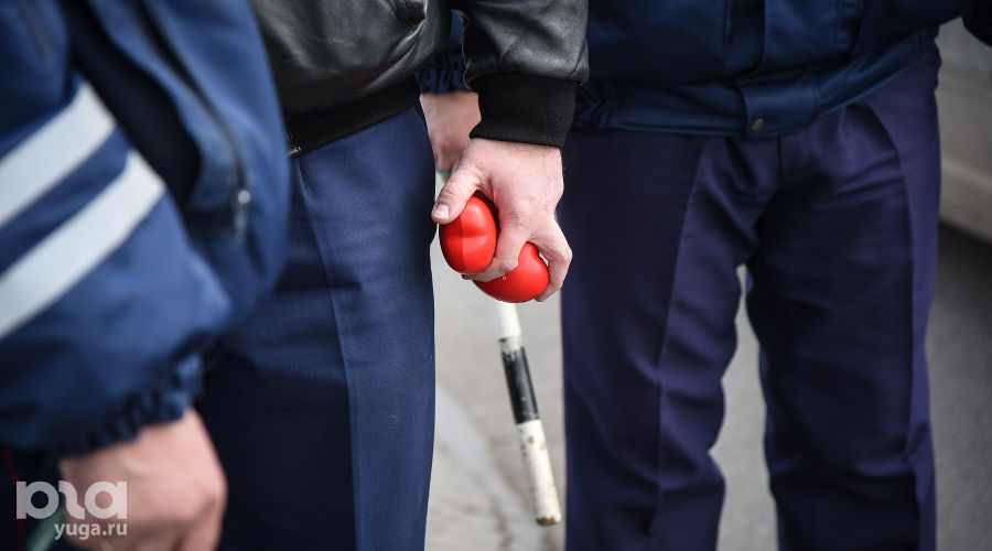  © Фото Елены Синеок, Юга.ру