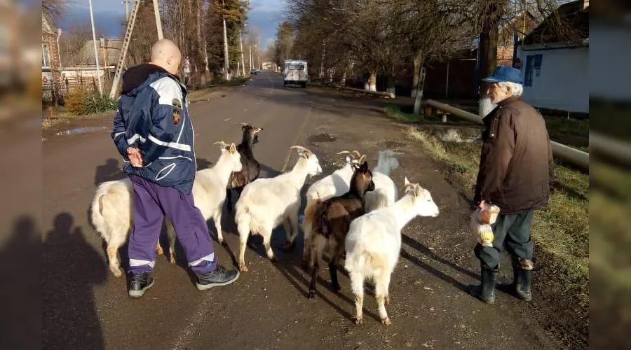  &copy;&nbsp;Фото пресс-службы &laquo;Кубань-СПАС&raquo;