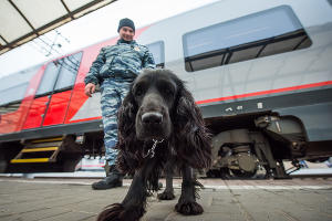 Транспортная полиция на железнодорожном вокзале Краснодара © Фото Елены Синеок, Юга.ру