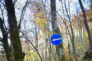 Водопады Руфабго в Адыгее &copy;&nbsp;Елена Синеок, ЮГА.ру