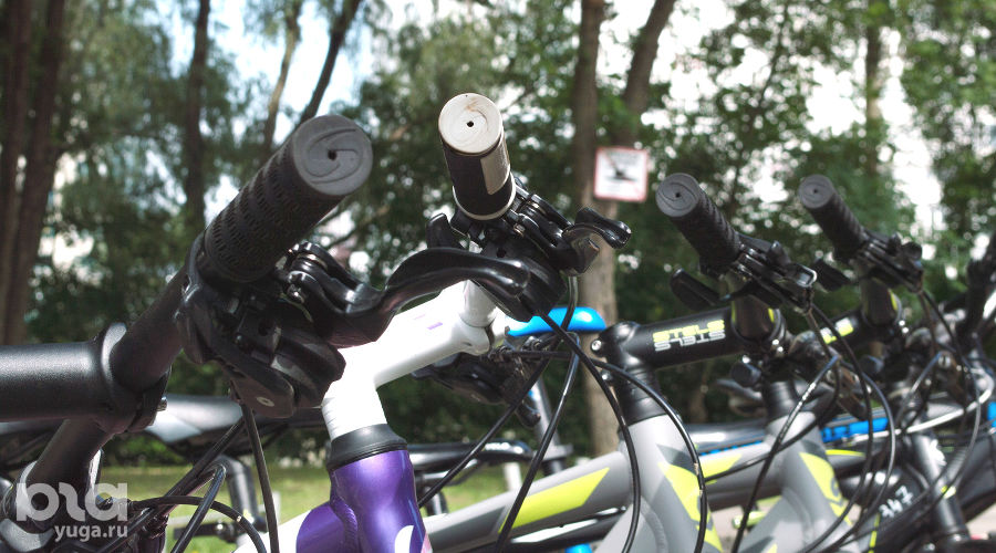  © Фото Дмитрия Леснова, Юга.ру