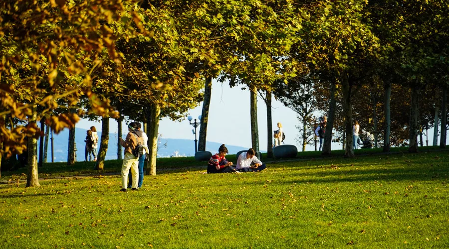  &copy;&nbsp;Фото Павла Незнанова, unsplash.com