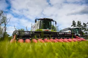  &copy;&nbsp;Фото Елены Синеок, Юга.ру