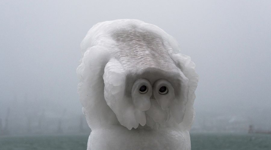  &copy;&nbsp;фото Sega Black-Sea https://vk.com/segablacksea