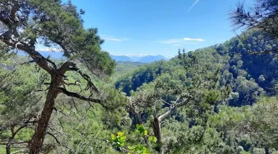  &copy;&nbsp;Скриншот панорамы карт Google